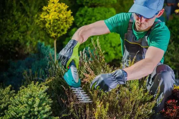 landscaping services Glasgow